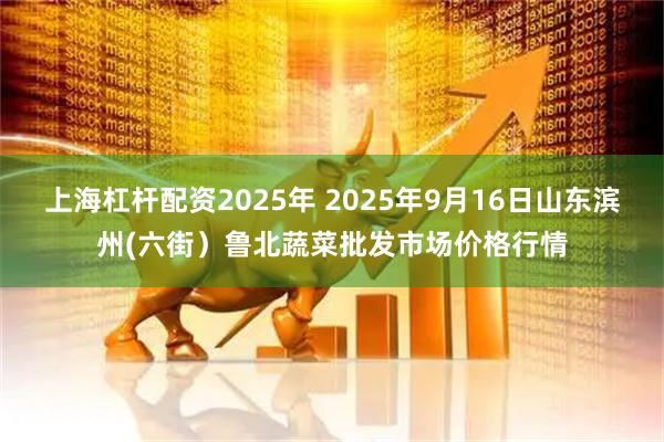 上海杠杆配资2025年 2025年9月16日山东滨州(六街）鲁北蔬菜批发市场价格行情