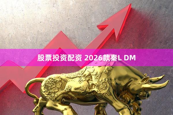 股票投资配资 2026款秦L DM