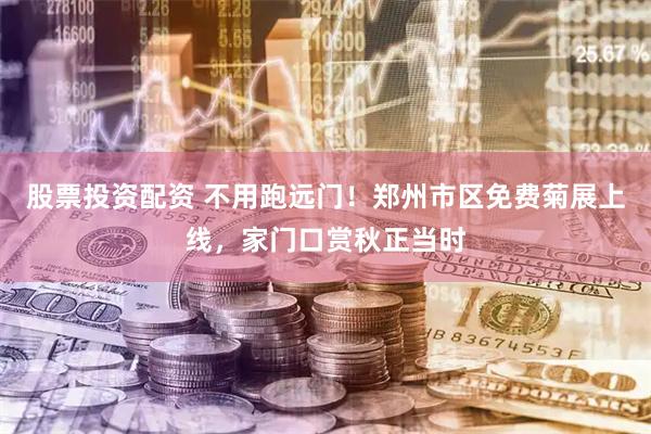 股票投资配资 不用跑远门！郑州市区免费菊展上线，家门口赏秋正当时