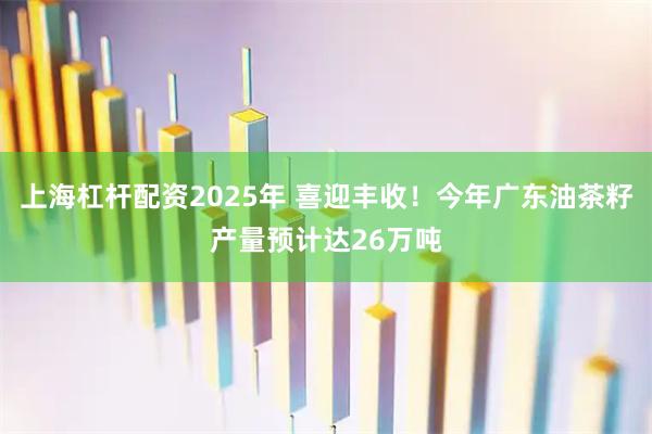 上海杠杆配资2025年 喜迎丰收！今年广东油茶籽产量预计达26万吨