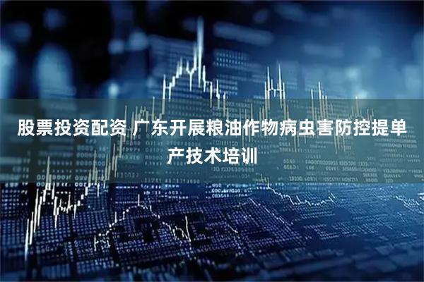 股票投资配资 广东开展粮油作物病虫害防控提单产技术培训