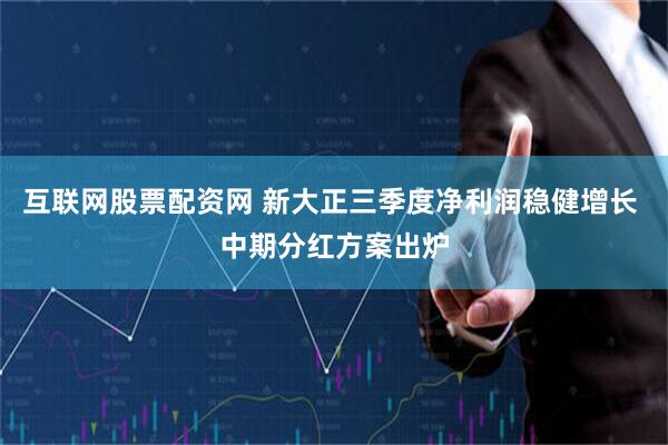 互联网股票配资网 新大正三季度净利润稳健增长 中期分红方案出炉