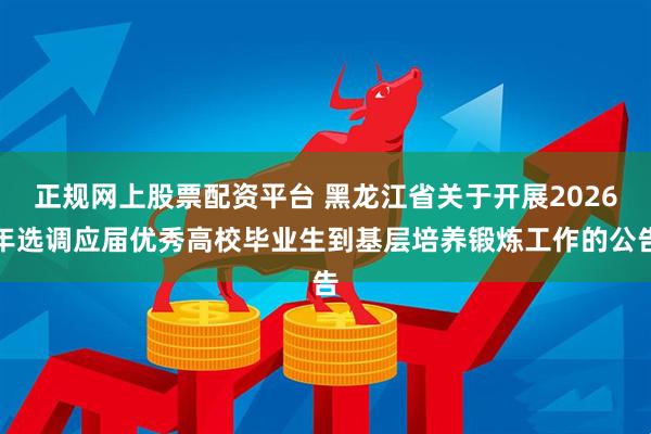 正规网上股票配资平台 黑龙江省关于开展2026年选调应届优秀高校毕业生到基层培养锻炼工作的公告