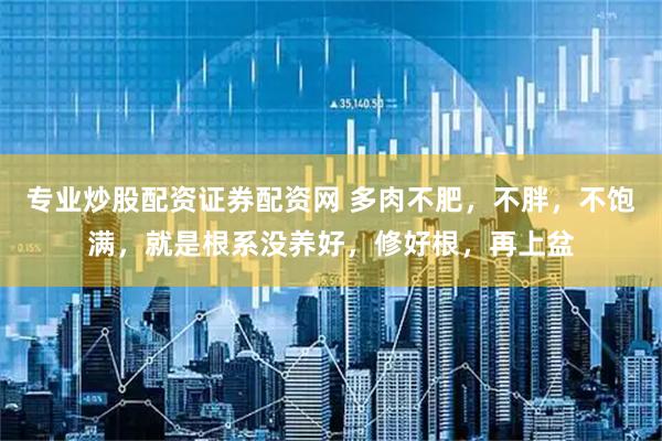 专业炒股配资证券配资网 多肉不肥，不胖，不饱满，就是根系没养好，修好根，再上盆