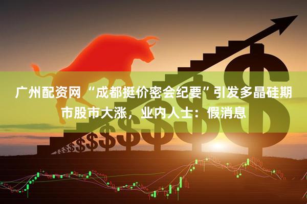 广州配资网 “成都挺价密会纪要”引发多晶硅期市股市大涨，业内人士：假消息